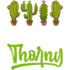 Funny Succulent Cactus