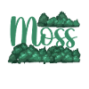 Funny moss nursery
