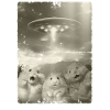 Alien Ufo Invasion Hamster