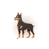 Hund Dobermann
