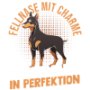 Hund Dobermann