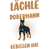 Hund Dobermann