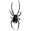 Spinnenlinien Silhouette