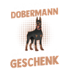 Hund Dobermann