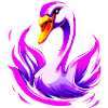 swan 1