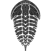 Trilobite