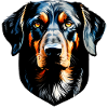 Coon Hound Kopf - Grafik