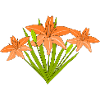 Fire Lilies