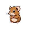 Mausi