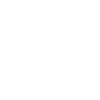 Record player