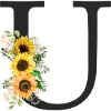 U Monogram Sunflowers