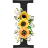 I Monogram Sunflowers