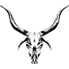 Mysterious Cattle Skull