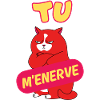 Tu m'énerve - chat mignon