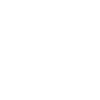 Snowboard Evolution