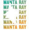 Elegant Manta Ray Ocean Lover