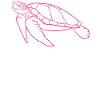 Silent Ocean Walker Turtle