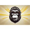 SUN GORILLA
