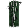 Zen Tranquility: Elegant Bamboo Grove