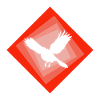 Bird, Wings, Flying,