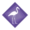Flamingo Exotic Flamenco