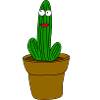 Cactus with face