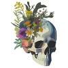 Human Skull & Flowers 9
