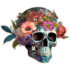 Human Skull & Flowers 6