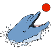 Dolphin with ball
