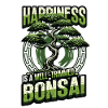 Japanese Bonsai