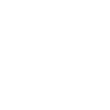 Vizsla Mom
