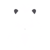 Skunk