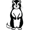 Skunk