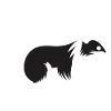 Skunk