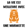 HUMOUR Bébé Marmotte