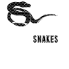 Snakes Snake