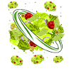 Salade Végétarienne Salades Vegan