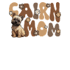 Cairn Terrier Groovy Cairn Mor