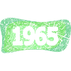 1965 1965