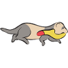 Ferret Owner Ferret