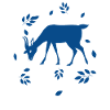Hirsch - Wald Natur Tierschutz