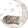 chat