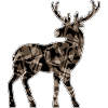 Cerf