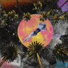 Moon and Palms