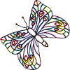Schmetterling