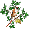 Bunter Vogel