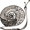 Snail
