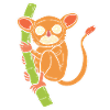 Tarsier Wildtierarbeiter
