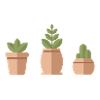cute plants
