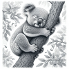 Koala Bear Sleeps